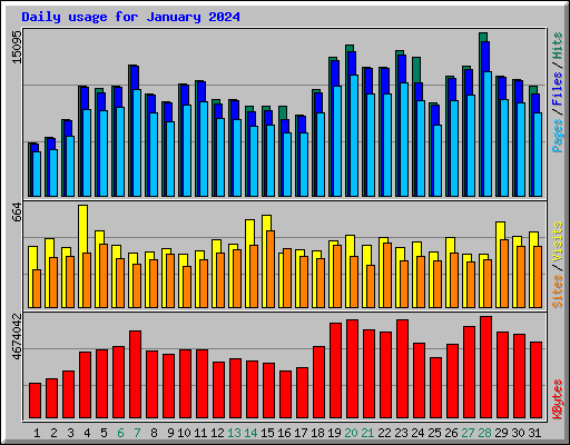 Daily usage for January 2024