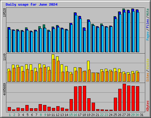 Daily usage for June 2024