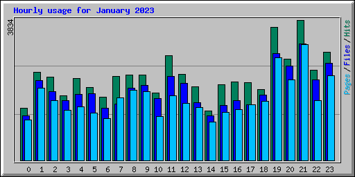 Hourly usage for January 2023