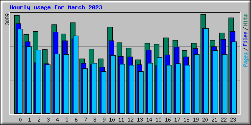 Hourly usage for March 2023