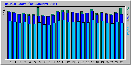 Hourly usage for January 2024