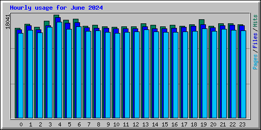 Hourly usage for June 2024