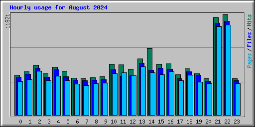 Hourly usage for August 2024