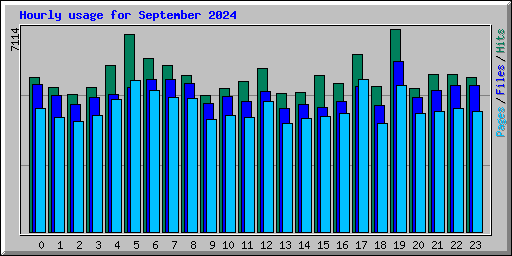 Hourly usage for September 2024