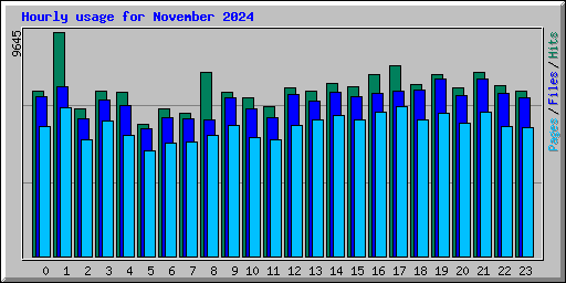 Hourly usage for November 2024