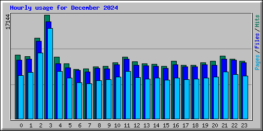 Hourly usage for December 2024