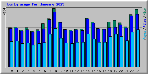 Hourly usage for January 2025