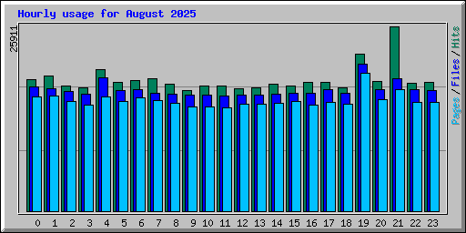 Hourly usage for August 2025