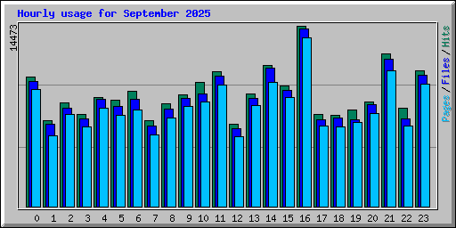 Hourly usage for September 2025