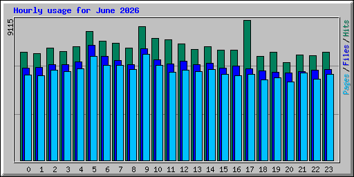 Hourly usage for June 2026